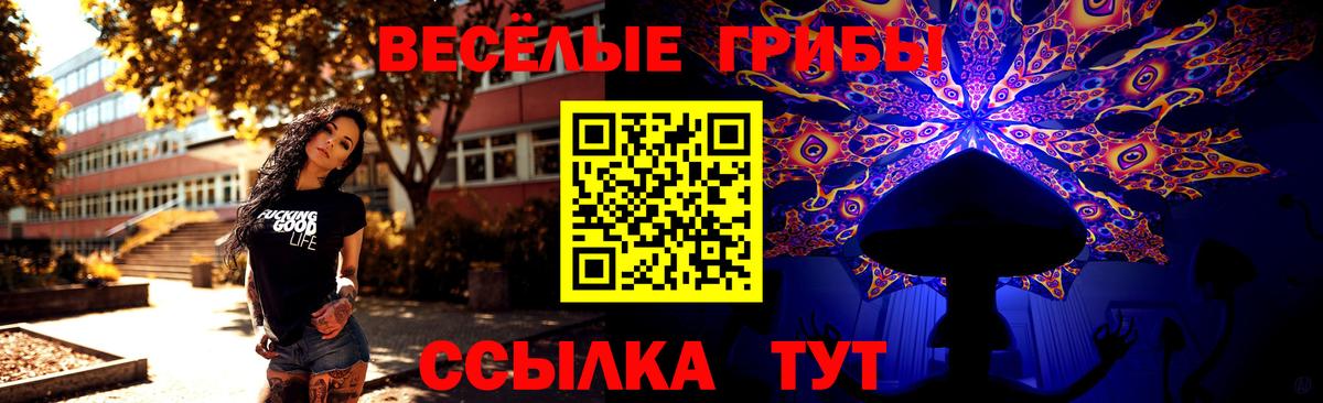 дарнет шоп  Вход с VPN  Мариинск  Псилоцибиновые грибы мухоморы 